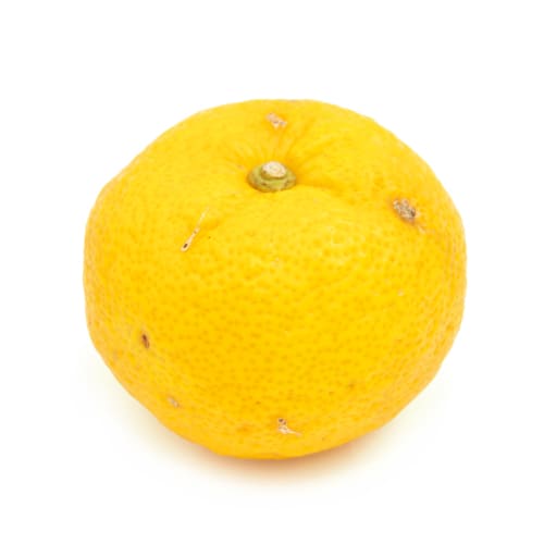 本ゆず　徳島　木頭6号　中村さん　140～170ｇ