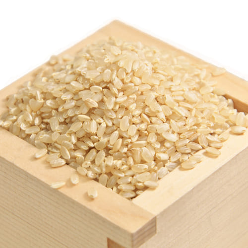 新潟県　山本さん 永田農法コシヒカリ　玄米　米