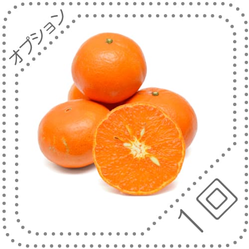 オプションくだものS1回