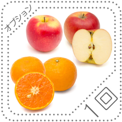 オプションくだもの04-05