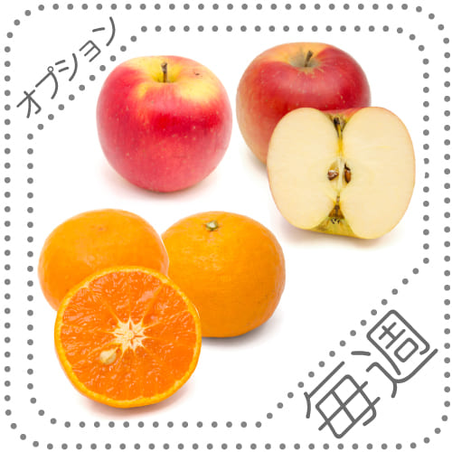 オプションくだもの04-05