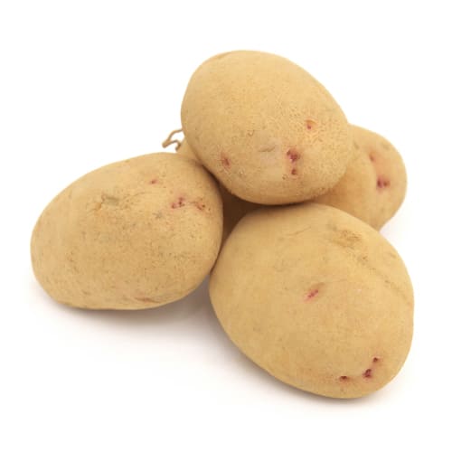 じゃがいも　はるか500ｇ　玉手さん