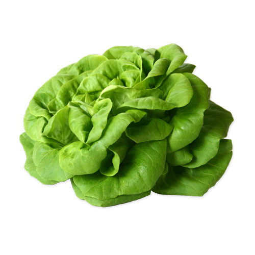 サラノバレタス