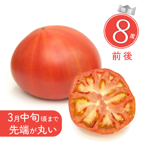 長崎県産 完熟ファーストトマト 糖度8度