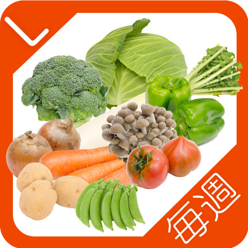 野菜定期便L