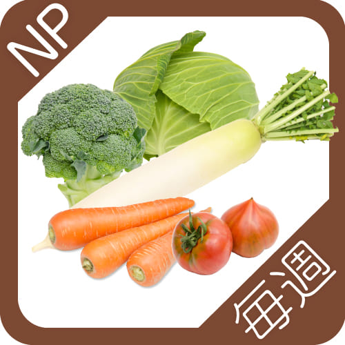 野菜定期便NP毎週