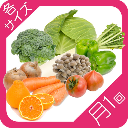 野菜定期便毎月