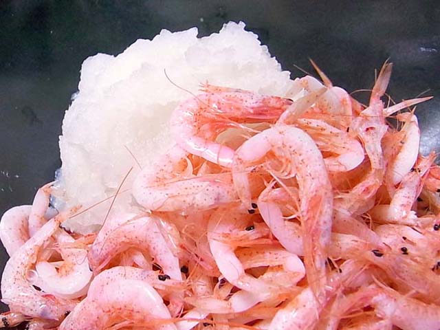 釜揚げさくら海老