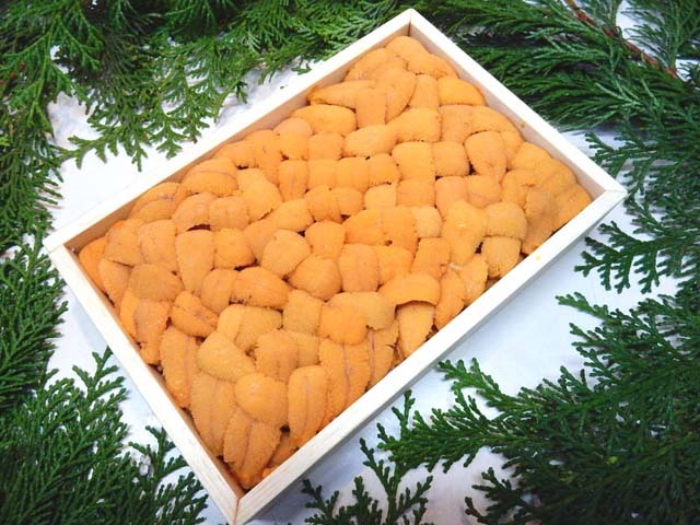 極上バフンウニ「折箱250g」 極上バフンウニ折箱