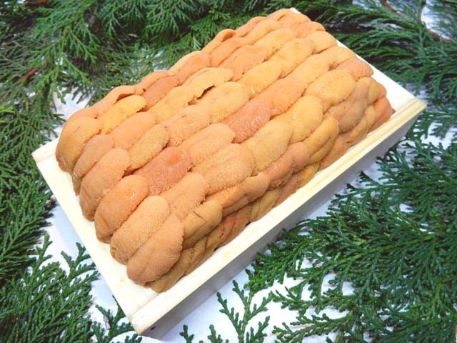 極上バフンウニ「大箱300g」 極上バフンウニ大箱