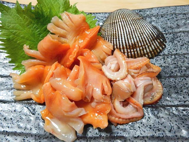 活赤貝 アカガイ