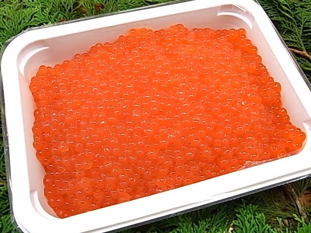 アラスカイクラ