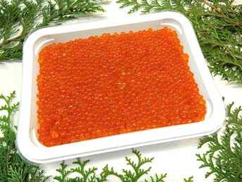 アラスカイクラ