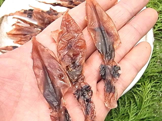 ホタルいか素干し