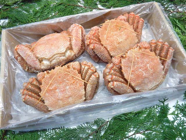 冷凍ボイル毛蟹