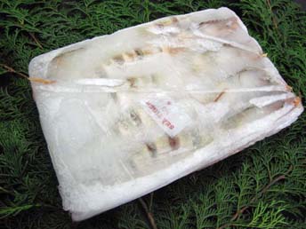 天然シータイガー有頭海老【1.3kg=6尾サイズ】