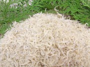 羽の細かい極上かちり（ちりめん）