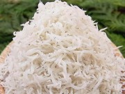 極上しらす干し