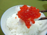 いくら・すじこ