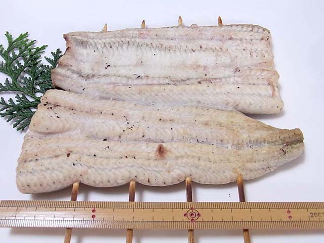 うなぎ白焼き