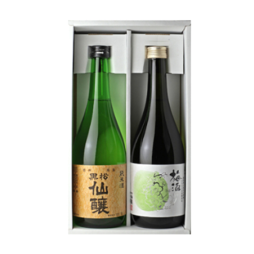 日本酒セット 日本酒＆梅酒ギフトセット（各720ml） 【送料無料】 | SETRE