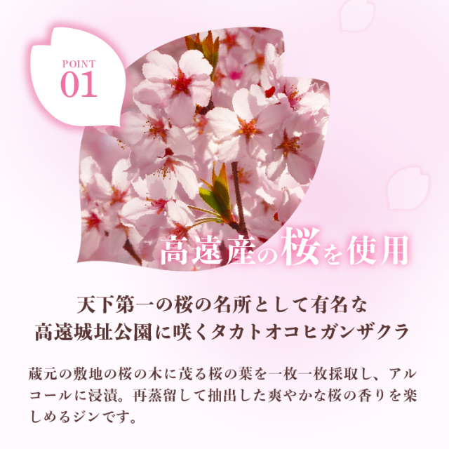 【オンラインショップ限定★数量限定】 SAKURAのジントニックパーティセット