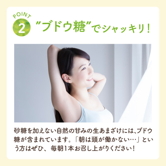 【定期購入】仙醸 生あまざけ 基本コース【30g×30本入】