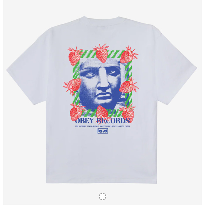 OBEY GARDEN HEAVYWEIGHT T-SHIRT 168024405 メンズ | 正規取扱店
