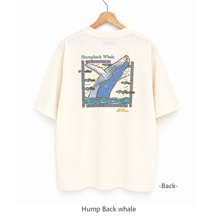 L.L.Bean Men's over Foxcroft Short-Sleeve Tee 6275-4048 エルエル