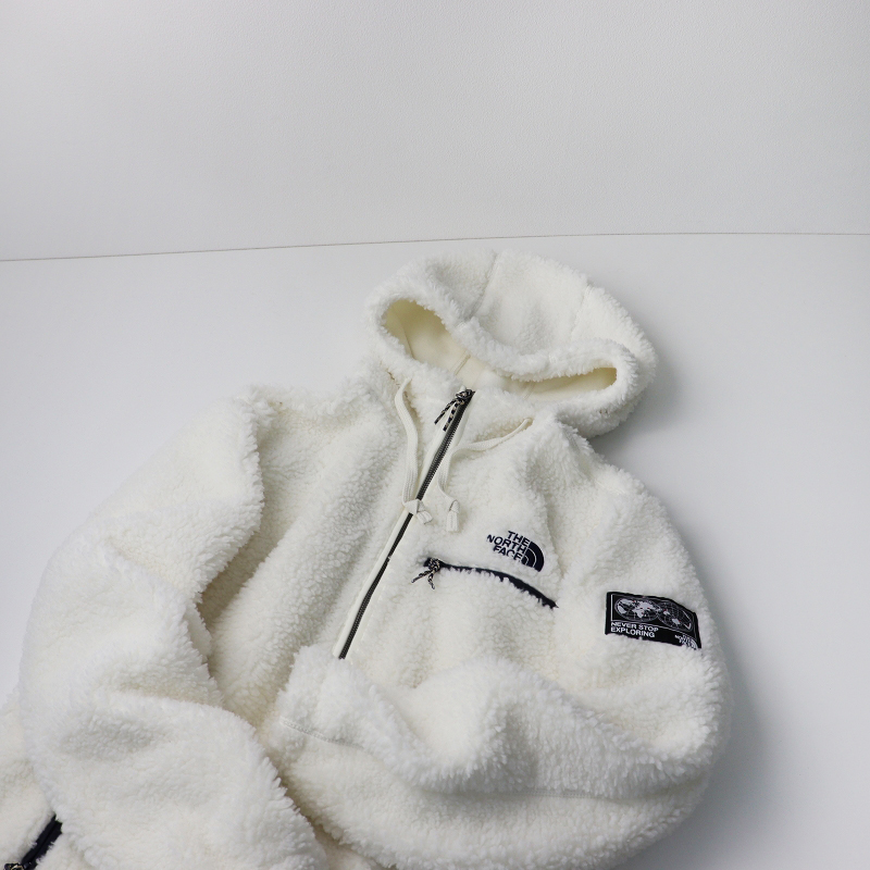the north face save the earth fleece hoodie