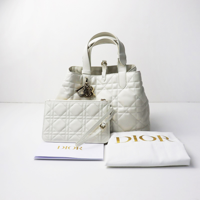 DIOR もたれかかっ ディオール レザーブルゾン 極美品 