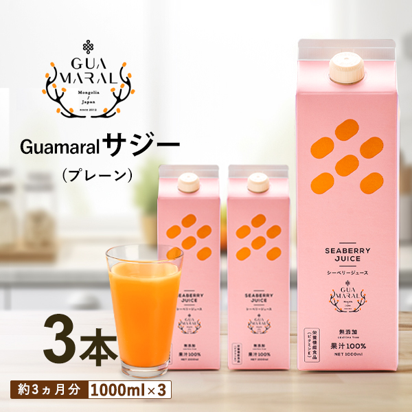 （まとめ買）サジー サジージュース100％ 1000ml （3本） グアマラルサジー シーベリー 鉄分豊富 健康ドリンク 美味しい 豊富な栄養素 モンゴル産 シーバックソーン グアマラル