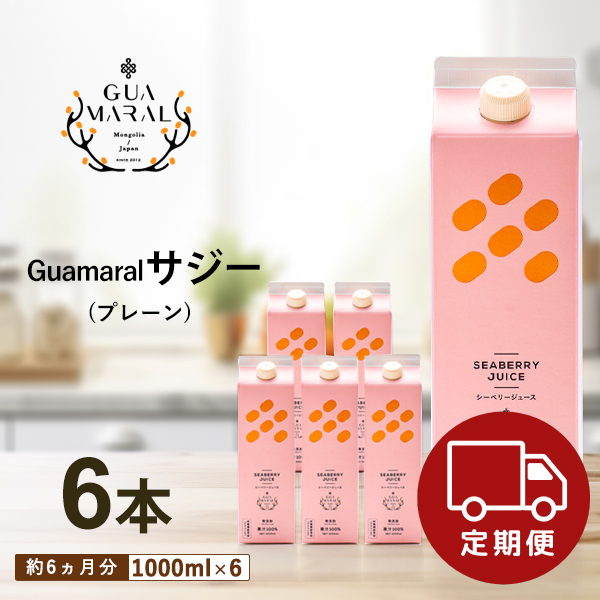 【定期コース】サジー プレーンタイプ 1000ml 6本 約6カ月分 無添加 天然 鉄分 サジージュース シーベリー モンゴル産