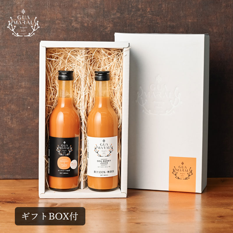 サジージュース シーベリー 360ml 2本セット【ギフトBOX入】 鉄分補給 健康飲料 鉄分ドリンク 健康ドリンク 美容ドリンク グ 元気 健康 美容 栄養補給 健康食品 沙棘 スーパーフード ビタミンc プレゼント 贈り物 お祝 お礼 母の日 母の日ギフト