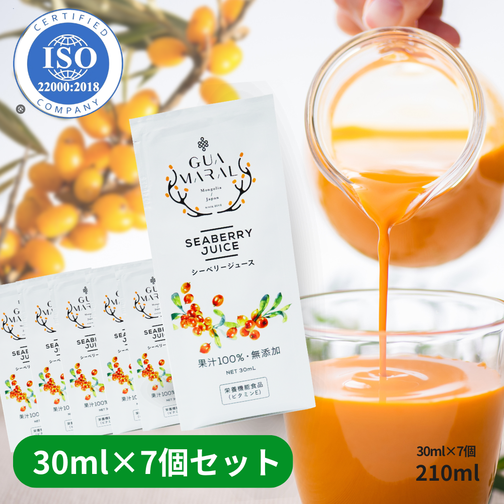 サジージュース  パウチタイプ 7個セット スティック お試し用 シーベリー  鉄分 鉄分ドリンク 健康ドリンク 栄養ドリンク 美容ドリンク 無添加 グアマラル 健康飲料 鉄分不足 元気 健康 美容 鉄分補給 栄養補給 沙棘 スーパーフード ビタミンc シーベリージュース