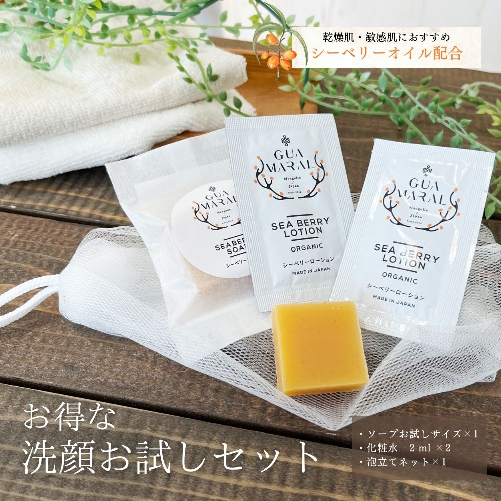 【お試しソープ+ローションサンプル2個セット】ギー入り石けん シーベリー （サジー×ギー）洗顔石けん お試しサイズ 11g 1個 固形石鹸 ソープ せっけん 石けん