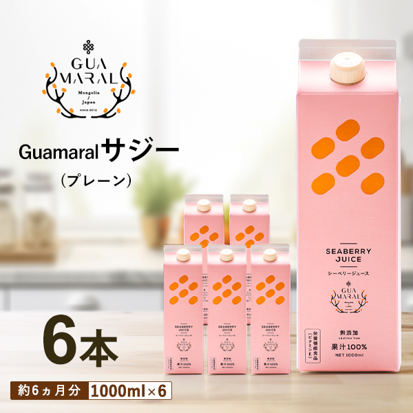 （まとめ買）サジー サジージュース 100% 1000ml （6本） シーベリー 鉄分豊富 健康ドリンク 美味しい 豊富な栄養素 モンゴル産 シーバックソーン グアマラル