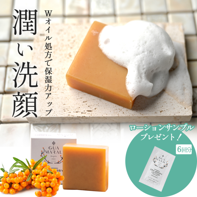 シーベリーソープ ギー入り石けん （サジー×ギー）洗顔石けん 100g 固形石鹸 ソープ せっけん 石けん