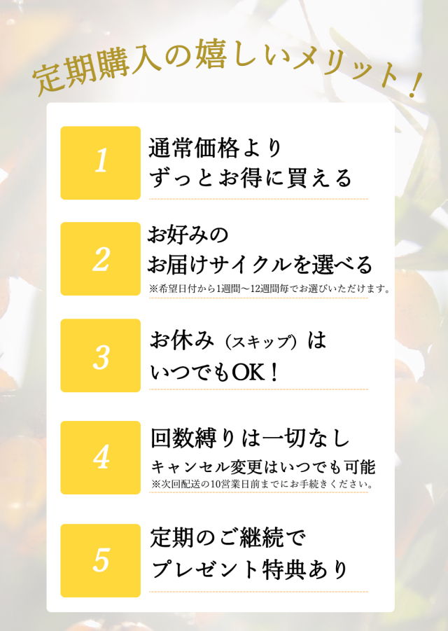 サジーとはちみつ