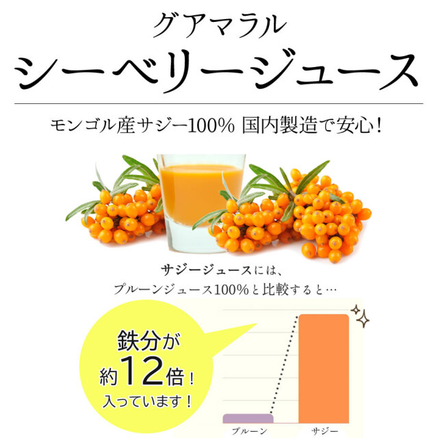 サジージュース 360ml サジー 2本セット シーベリー ジュース 飲み比べ