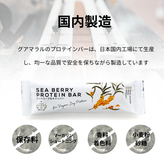 公式ストア）サジー プロテインバー サジー（12本入）guamaral