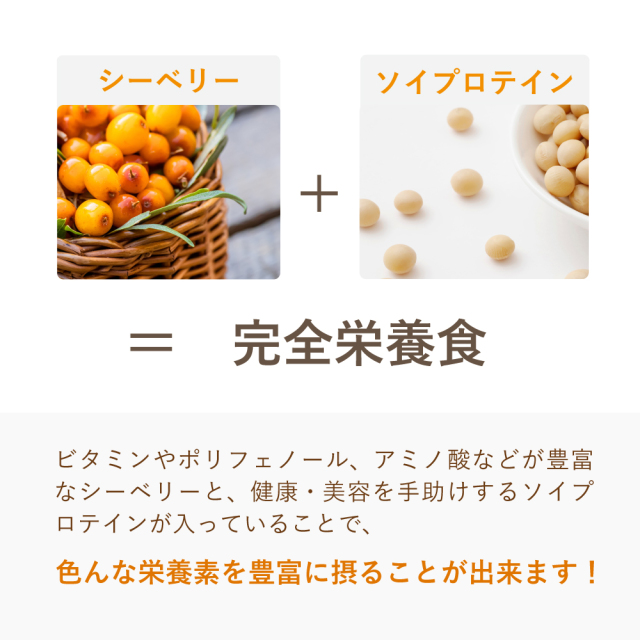 プロテインバー定期