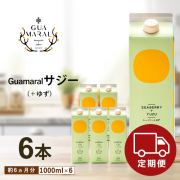 【定期コース】サジー +ゆず 1000ml 6本 約6カ月分 無添加 天然 鉄分 ゆずハチミツ サジージュース シーベリー モンゴル産