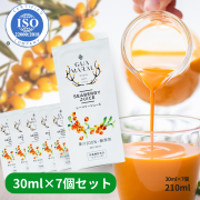 サジージュース  パウチタイプ 7個セット スティック お試し用 シーベリー  鉄分 鉄分ドリンク 健康ドリンク 栄養ドリンク 美容ドリンク 無添加 グアマラル 健康飲料 鉄分不足 元気 健康 美容 鉄分補給 栄養補給 沙棘 スーパーフード ビタミンc シーベリージュース