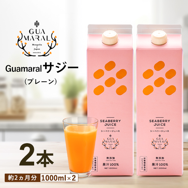 （まとめ買）サジージュース100％ 1000ml （2本） グアマラルサジー シーベリー  鉄分豊富 健康ドリンク 美味しい 豊富な栄養素 モンゴル産 シーバックソーン グアマラル