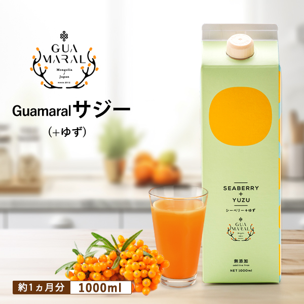 サジージュース＋ゆず 1000ml  グアマラルサジー シーベリー 鉄分豊富 健康ドリンク 美味しい 豊富な栄養素 モンゴル産 シーバックソーン グアマラル