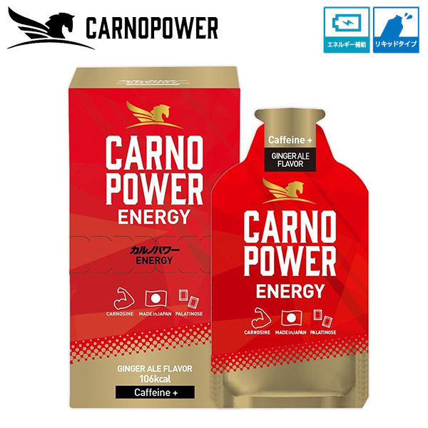 ハマリの健康食品 カルノパワーENERGY ジンジャエール 40g×10個 