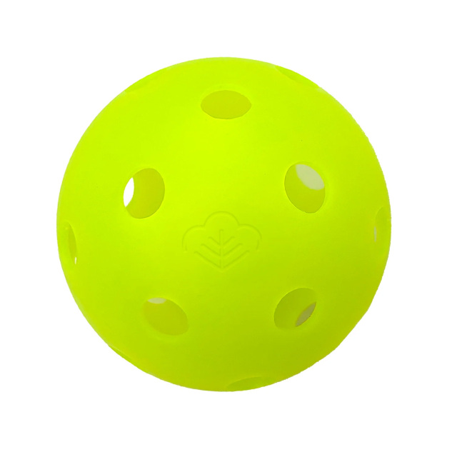 EVERYDAY SOCIAL ピックルボール THE ASAMA CLASSIC 屋内用ボール 26hole 3個入