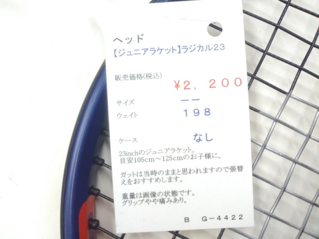 ヘッド ラジカル２３