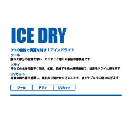 ICEDRY